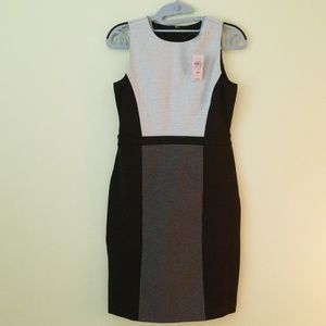 NWT Ann Taylor dress